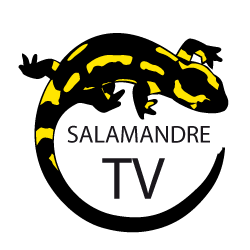 Salamandre TV Visionner via Baglis TV...